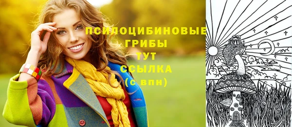 прущие крисы Армянск