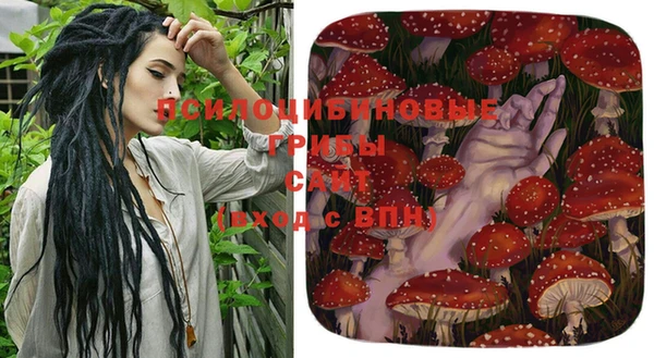 прущие крисы Армянск