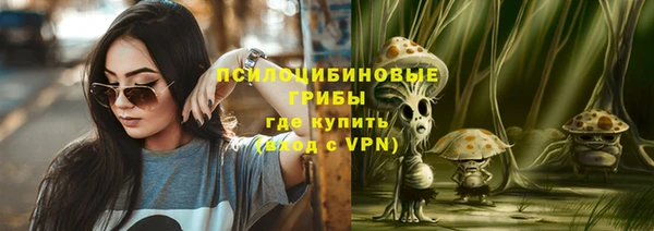 прущие крисы Армянск